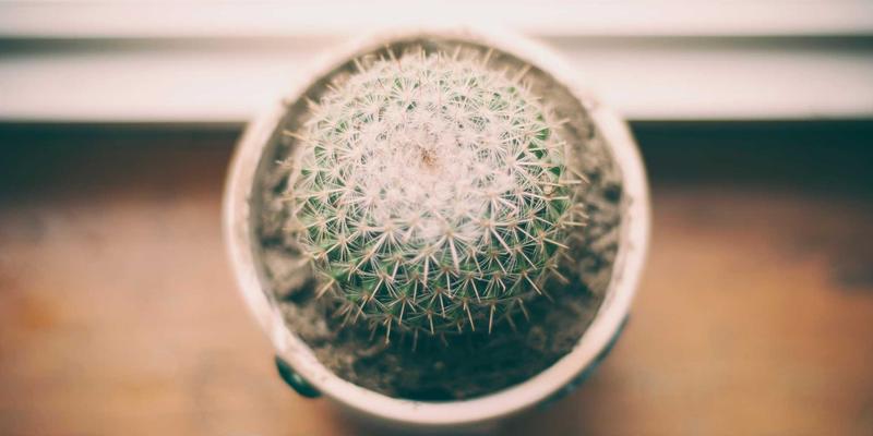 泉城雅韵：解锁济南中式家具与现代住宅的完美融合之道