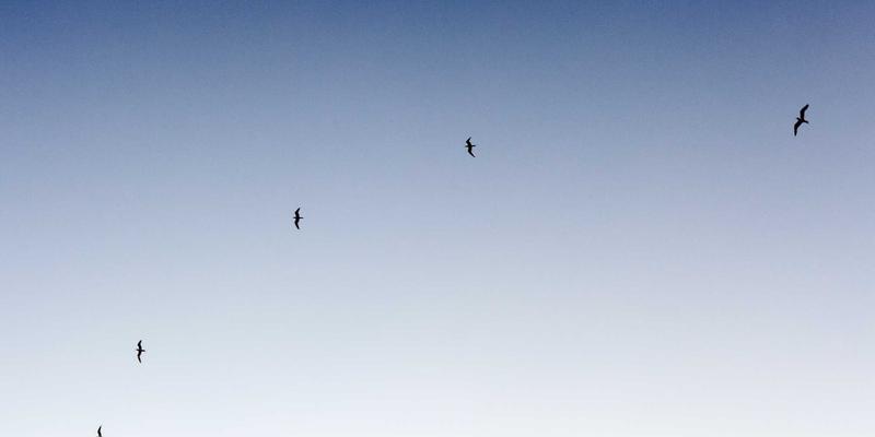 济南家居收纳系统定制指南:小空间大容量,本地收纳师与品牌服务深度测评