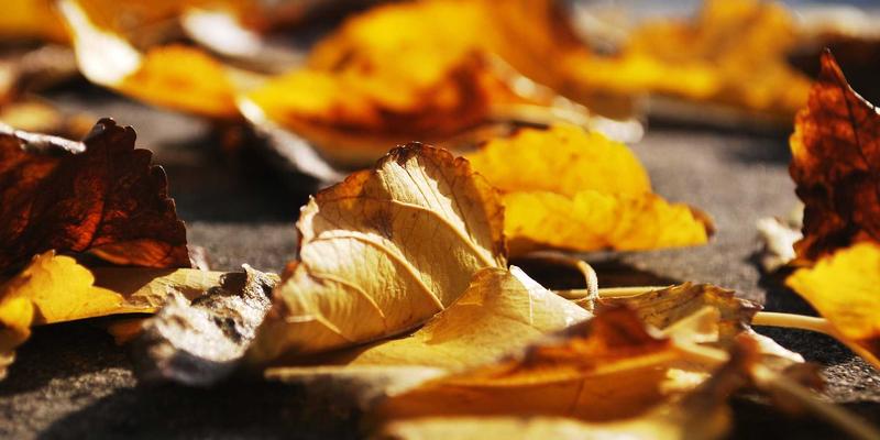 济南家居智能安防系统配置指南：从门窗传感器到摄像头，打造安心之家