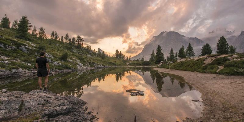 济南家居绿植搭配与养护全攻略:鲁家家教你打造四季常青的泉城之家