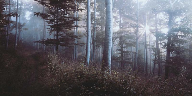 济南家长必看！儿童房环保家具选购全攻略，守护孩子健康呼吸