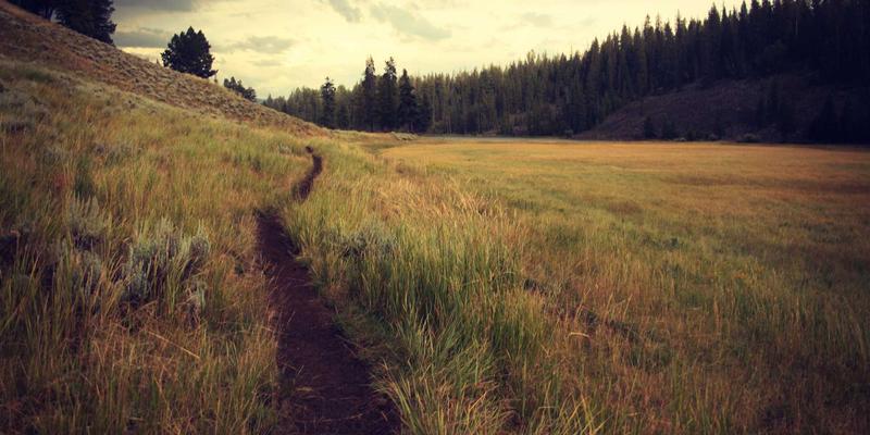 济南智能家居系统安装指南：从鲁家家到全屋智能，打造您的未来之家